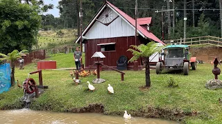 DIFÍCIL ACREDITAR EM TUDO QUE ELE FEZ SOZINHO NA ROÇA- SEU PAES