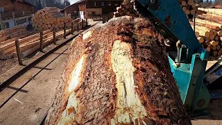 Vom Baumstamm zum Kantholz