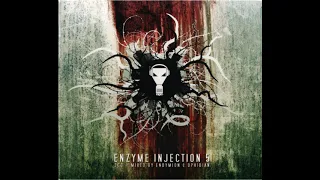 Enzyme Injection 5 (Mixed By Endymion and Ophidian) - 3CD-2008 - FULL ALBUM HQ