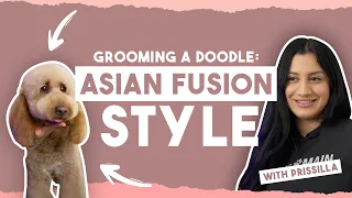 How to groom a doodle: ASIAN FUSION STYLE