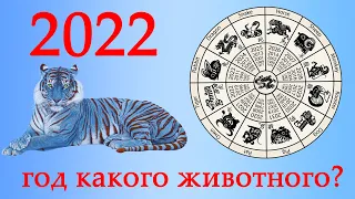 2022 - год какого животного? [по восточному календарю] Что ждать?