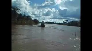 Desafiando a cheia do Rio Madeira