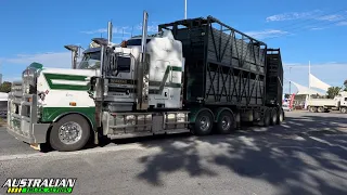 Aussie Truck Spotting Episode 48: Gepps Cross, South Australia 5094