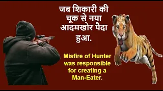 The Dump Man-Eater of Talavadi || The Tiger Roars || Kenneth Anderson||Man-Eater Hunting Stories.