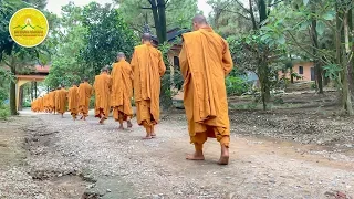 Alms Round - A Precious Tradition of Buddhism | Ba Vang Pagoda