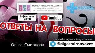 Ответы на вопросы. Выпуск от 6.02.2024