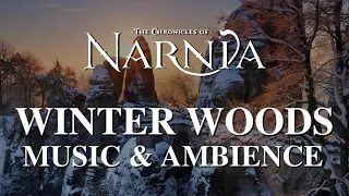 Relaxing Music with Sounds of Winter - Chronicles of Narnia | Winter Woods Music & Ambience