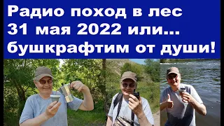 Радио поход в лес 31 мая 2022 или бушкрафтим от души!