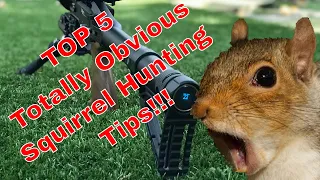 Top 5 Squirrel Hunting Tips with the EDgun Leshiy and ATN X Sight 4K Pro