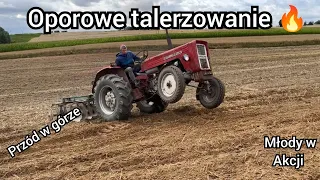 Talerzowanie na dwóch kołach?!!😱         Talerzowanie ścierniska URSUS C 360