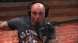 Joe Rogan on Paul Daley, Conor McGregor, & Nate Diaz