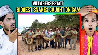 Villagers Stunned To Watch Biggest Snakes Ever Caught On Camera ! Tribal People React to Anaconda