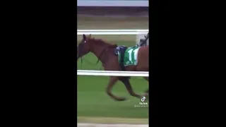 70 year old man catches loose galloping horse😮😮😮😮