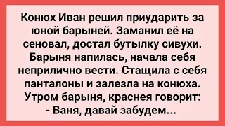 Барыня Напилась и Неприлично Себя Вела! Сборник Свежих Смешных Жизненных Анекдотов!