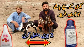How To Care Baby Goat In Winter || Goat Farming in Pakistan|| Goat Bay Kids