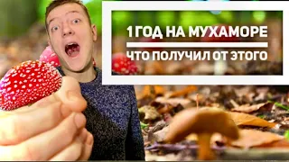 Микродозинг Мухомора.. Что со мной случилось !!