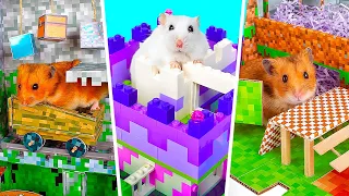 Fun DIY Hamster Mazes || Minecraft And LEGO Adventure For Your Pet Hamster
