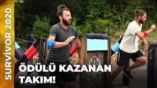 KAYBEDEN AÇ KALIR! | Survivor Ünlüler Gönüllüler