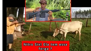 Nitro Six Derruba um Boi ?