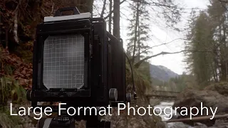 4x5 Large Format Photography | Darkroom Lith Print