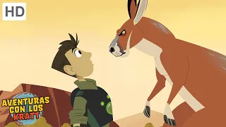 Aventuras con los Kratt | Pateándolo con los Roos | Episodio Completo | Temporada 1