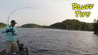 DON'T Overlook BLUFFS For BASS Here's Why