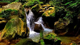 forest river sounds - babbling brook sounds for sleeping - stream nature sounds