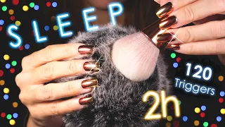 [ASMR] 120 Triggers over 2 hours! 😴 99.99% of YOU will fall ASLEEP (No Talking)