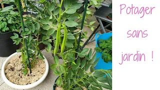 🍀 POTAGER en POT : Toutes les ASTUCES d’ Elodie