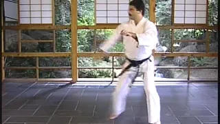 Uechi Ryu Pangai Noon Karate  5 of 5