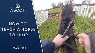 How to Teach a Horse to Jump - Behind the Scenes with Henrietta Knight