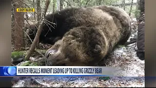 Montana elk hunter describes moment leading up to killing grizzly bear