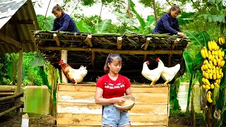 How To Build Chicken Coop - Chicken Farming & Building | Phuong Daily Harvesting