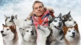 Eight Below Full Movie Facts And Review | Paul Walker | Bruce Greenwood