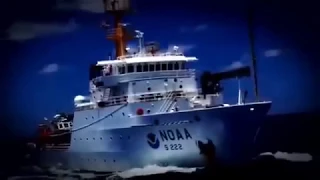 10 Megalodon Caught on Camera and Spotted In Real Life 2018000000 1150848000000 842943