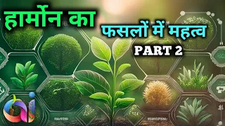 Plant hormone role in plants|| Auxin|| gibberellin|| cytokinin|| ethylene|| abscisic acid||