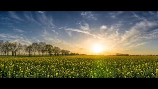 Chris Haugen - Morning Mandolin (Country & Folk)