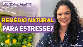 Remédio natural para estresse | Tratando saúde mental com remédios naturais