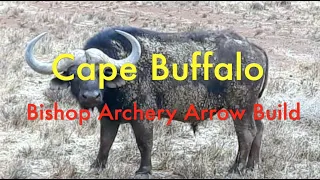 760 gr MISSILE! Cape Buffalo Arrow Build (Bishop Archery)
