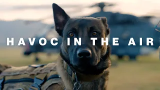 Patrol Dog Havoc in the Air | Royal New Zealand Air Force
