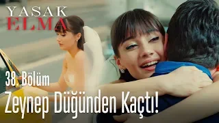 Zeynep Alihan'a kaçtı - Yasak Elma 38. Bölüm