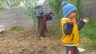 The Most Mysterious Task for Planting Greens and Tomatoes in the Village with My Children and Wife