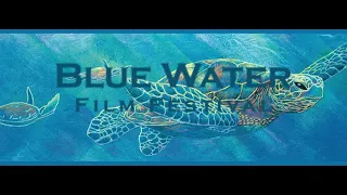 Blue Water Film Festival Trailer 2021