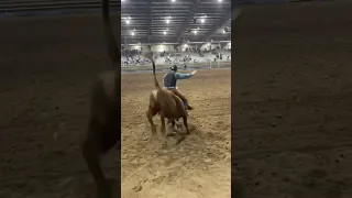 Almost cleared this one. #bullriding #trending #shorts #rodeo #soclose #dobetter #montana #cowboy