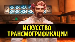 Искусство Трансмогрификации в World of Warcraft!