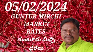 5 February 2024 GUNTUR MIRCHI MARKET RATES గుంటూరు మిర్చి మార్కెట్ ధరలు