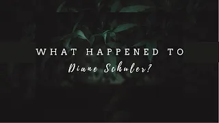 What Happened to Diane Schuler? // r/unresolvedmysteries deep dive