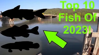 Top 10 Fish of 2023! [Primordial Fishing]