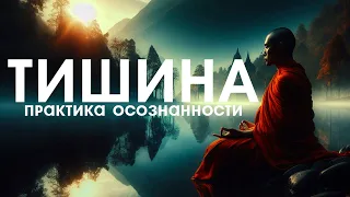 ТИШИНА - ПРАКТИКА ОСОЗНАННОСТИ [NikОsho]