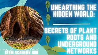 Unearthing the Hidden World: Secrets of Plant Roots and Underground Networks